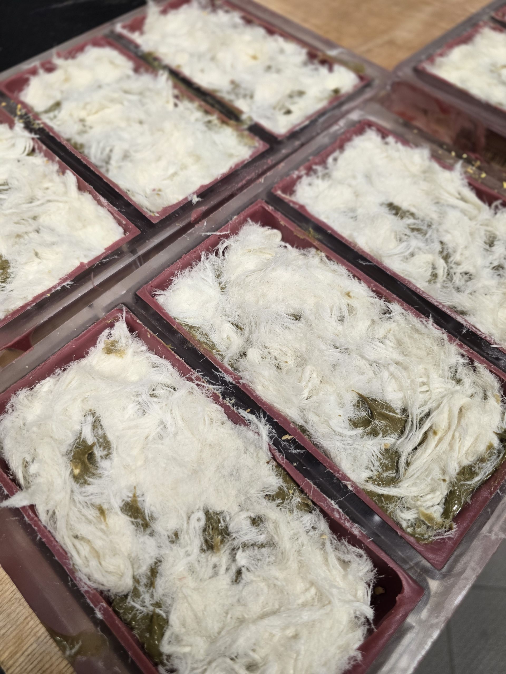 Csokoládék, bonbonok (szezonális)